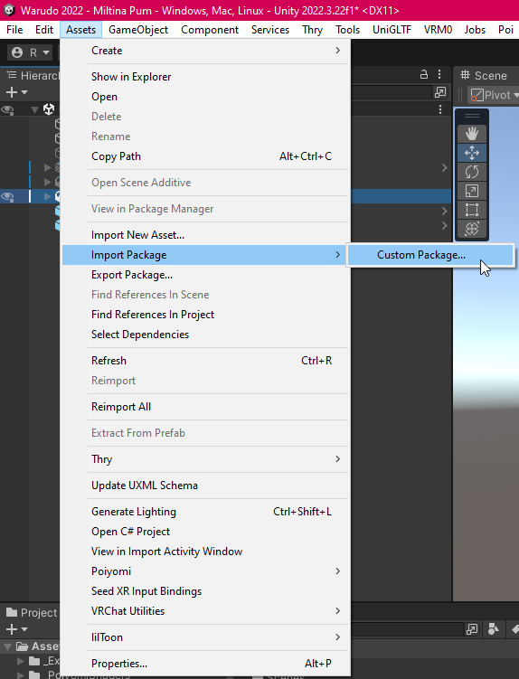 Import Unity Package